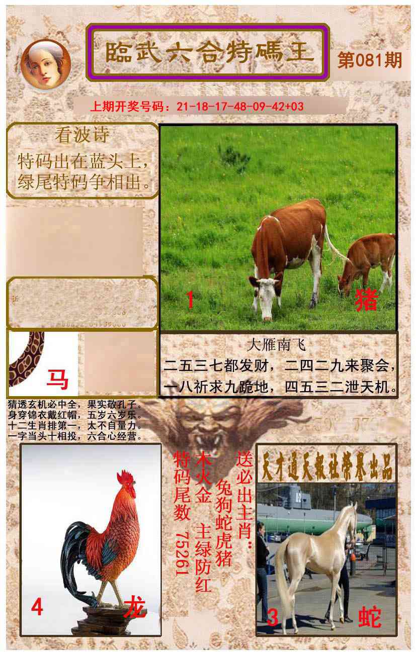 081期临武六合特码王[图]