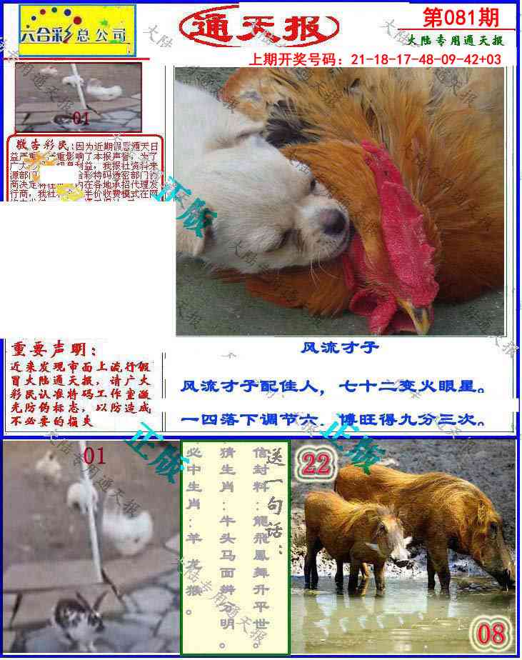 081期大陆通天报[图]
