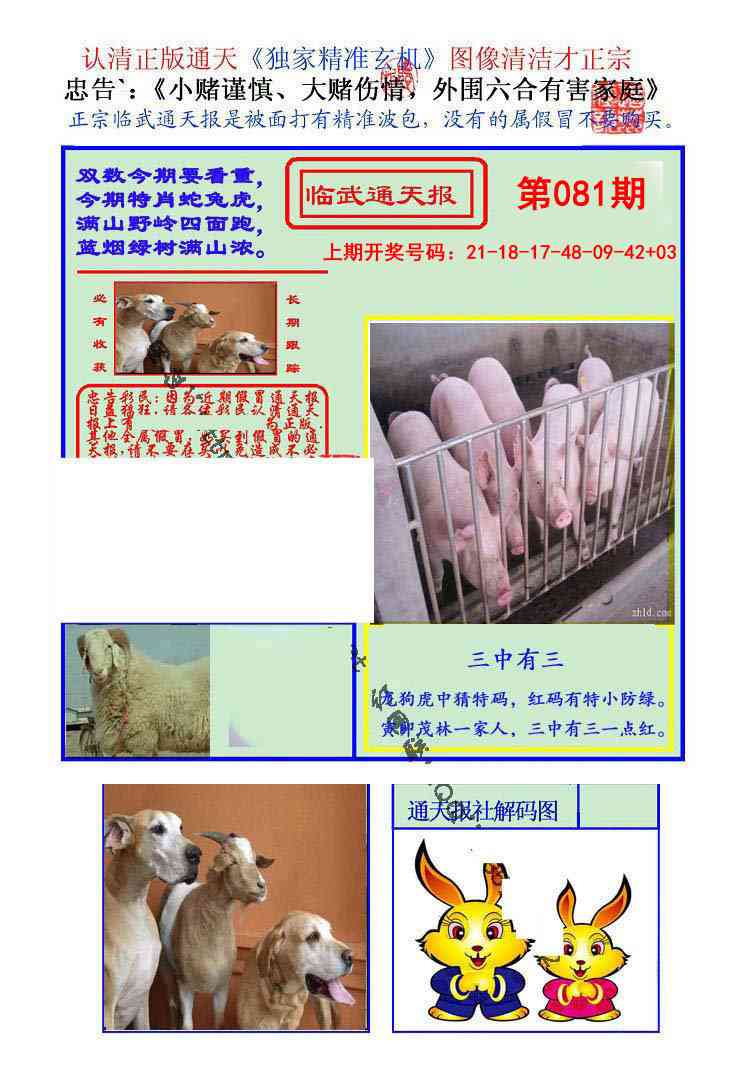 081期临武通天报[图]